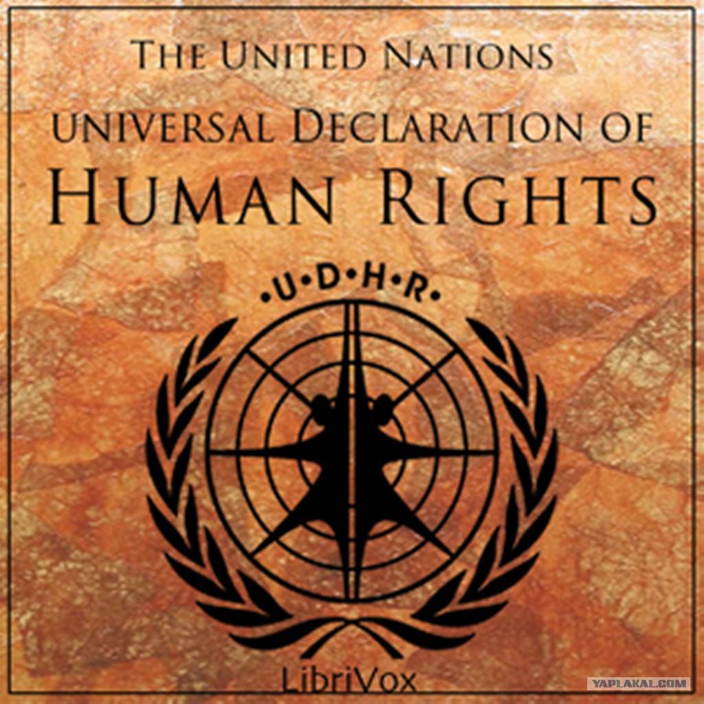 human rights un 1