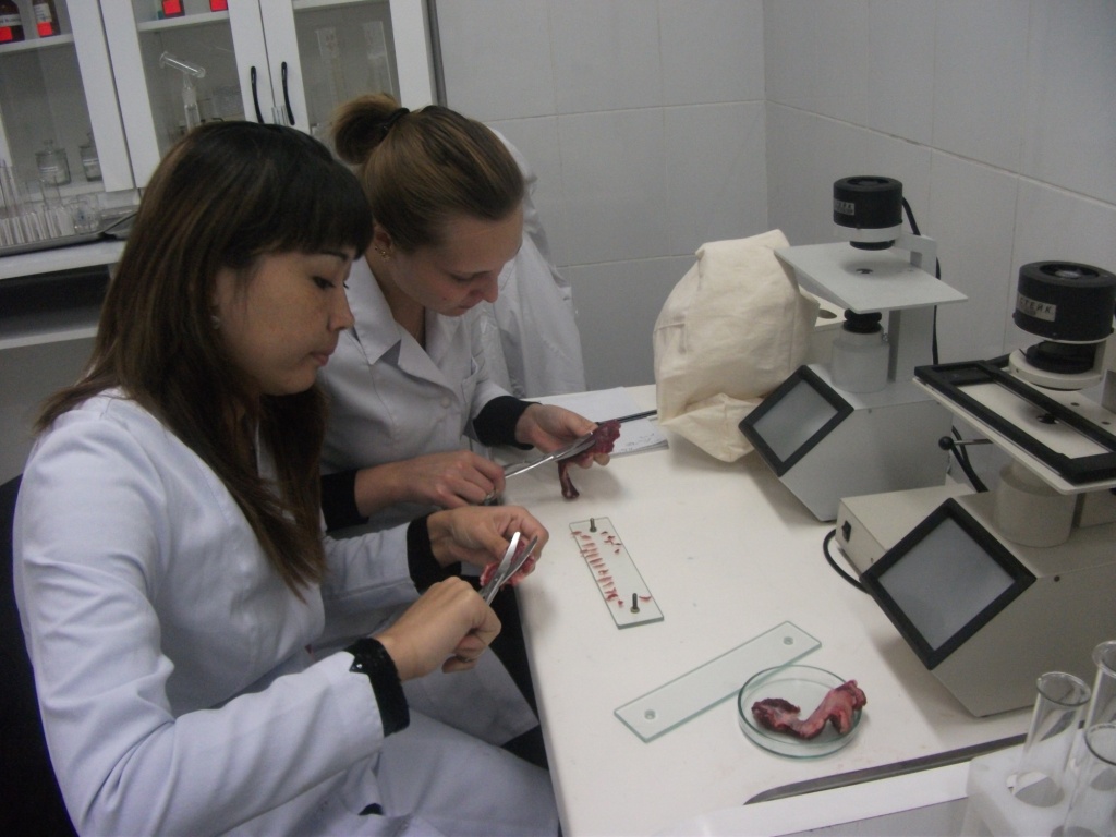laboratoria 1